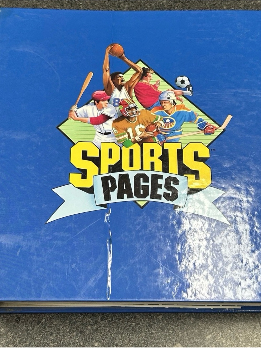 VTG Sports Pages 1993 Edition World Sports Stats & Record Book, Rare Collectible